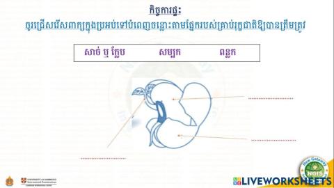 កិច្ចការផ្ទះ(11-09-2021)