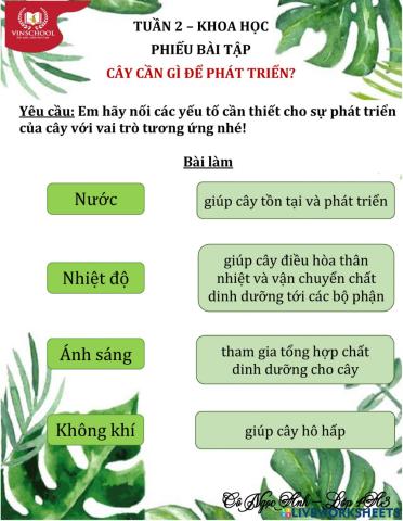 Tuần 2-Khoa học-Cây cần gì để phát triển?