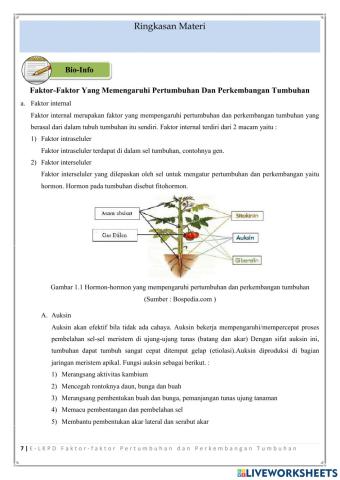 E-LKPD 2 (page 2)