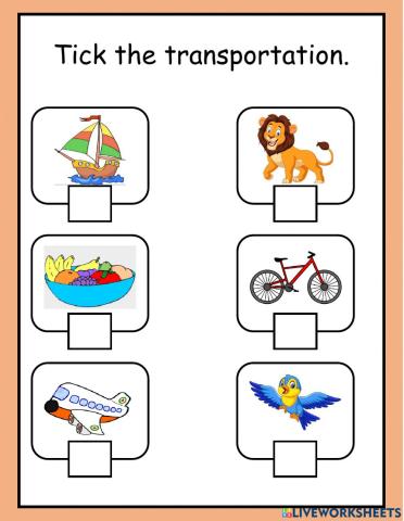 Transportation