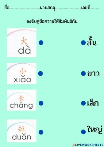 เรื่องขนาดของสิ่งต่างๆในร่างกาย