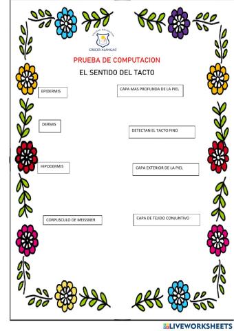 Prueba de computacion