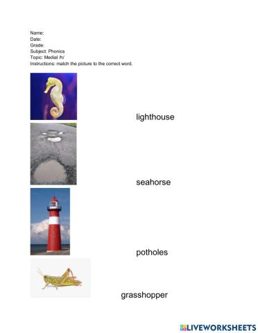 Medial -h- worksheet