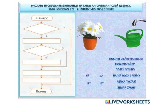 Алгоритм ветвления