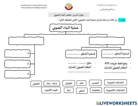 مراحل البناء الضوئي