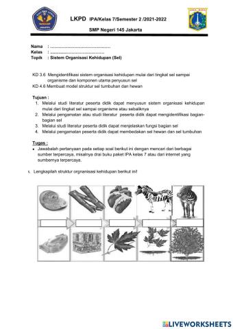 Lkpd sistem organisasi