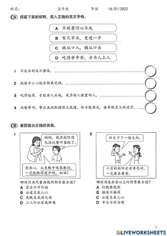 Std 5 华语练习 170122