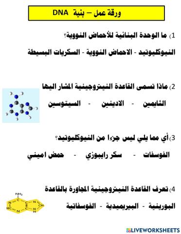 Dna structure