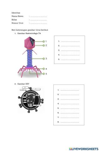 Struktur Virus