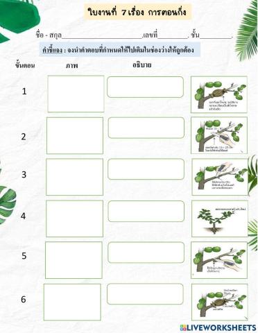 ใบงานที่7 เรื่อง การตอนกิ่ง