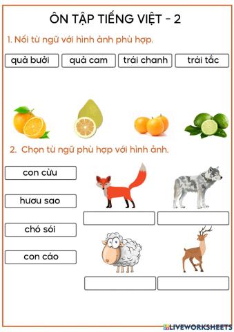 Nối từ với hình phù hợp - 2