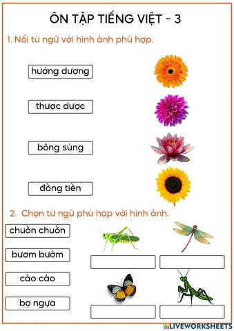 Nối từ với hình phù hợp - 3