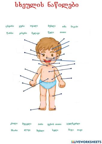 Sxeulis nawilebi. Partes del cuerpo en Georgiano. Body parts in Georgian