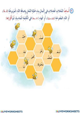 التاء المربوطة والتاء المفتوحة