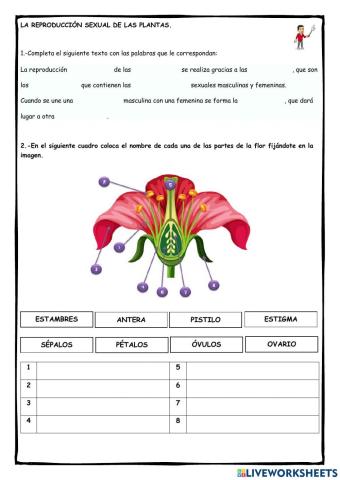 La reproducción sexual de las plantas