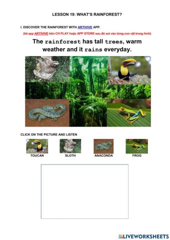 Lesson 19. the rainforest