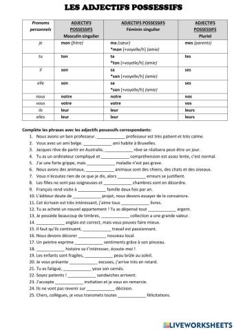 Adjectifs et pronoms possessifs