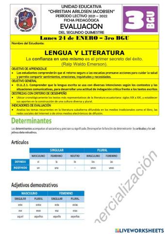 EVALUACION-LENGUA Y LITERATURA-3roBGU