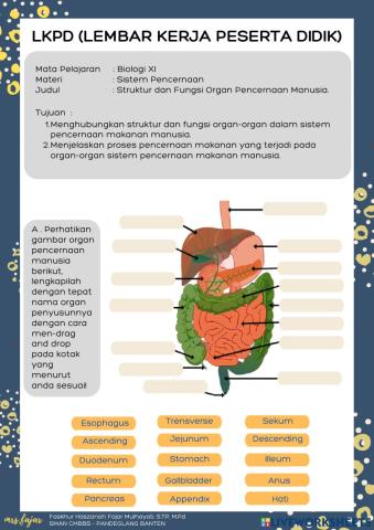 LKPD SIstem Pencenaan Manusia