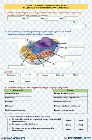 Organ sel