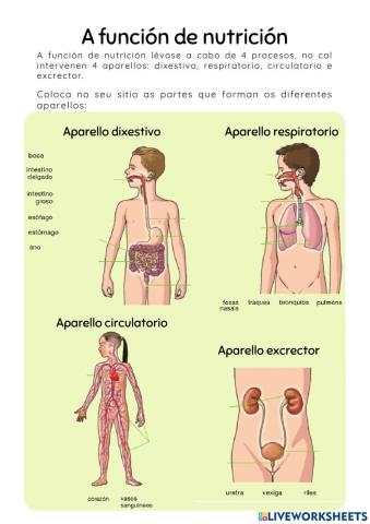 A función de nutrición. Aparellos e as súas partes