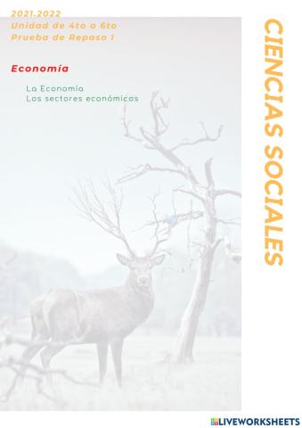 CCSS Prueba de Repaso I -La Economía y Los Sectores Económicos-