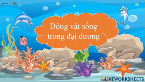 Khám phá động vật đai dương