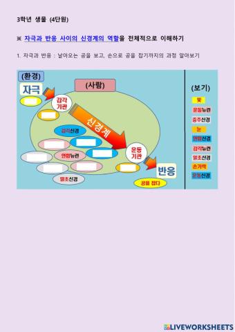 자극과 반응 사이의 신경계의 역할(개관)