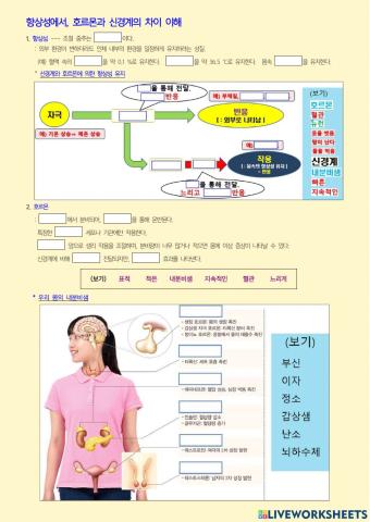 항상성에서 호르몬과 신경계 작용의 차이