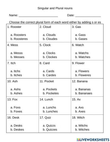 Singular and Plural Nouns - Adding s and es