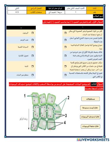 ورشة 2