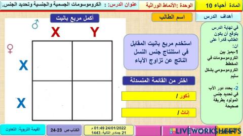 ورشة 3