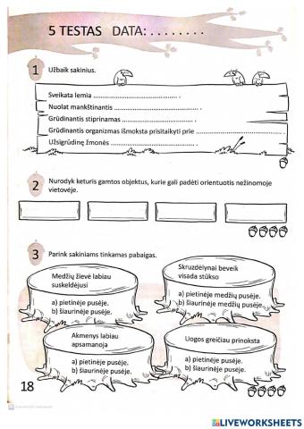 Gilės testas Nr.5