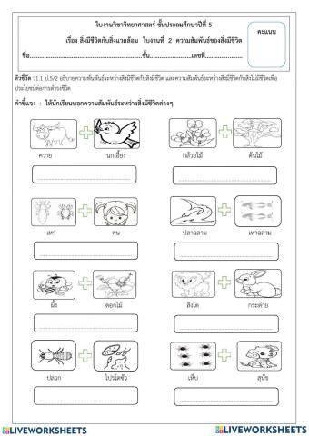 ใบงานความสัมพันธ์ของสิ่งมีชีวิต