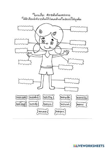 ใบงาน เรื่อง คำราชาศัพท์หมวดร่างกายและของใช้