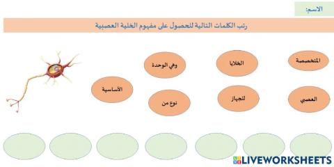 ترتيب الخلايا العصبية