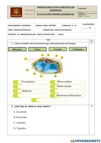 Examen Primer Quimestre