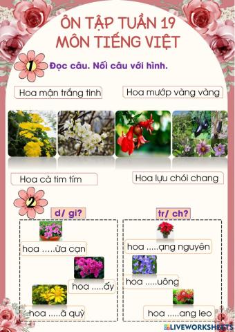 Phiếu ôn tập tiếng việt