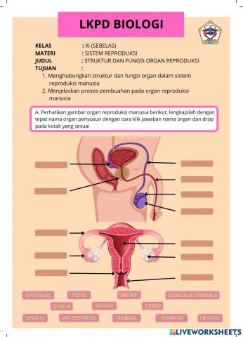 Belajar biologi bersama bapak diki