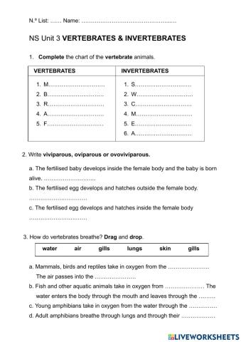 Vertebrates and invertebrates