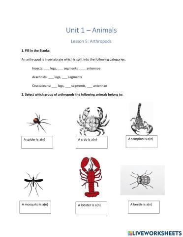 Arthropods