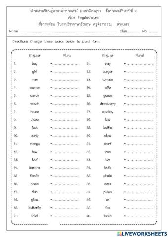 Singular & Plural 2