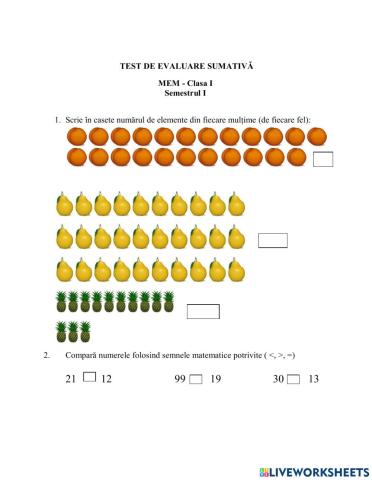 Test de evaluare sumativă