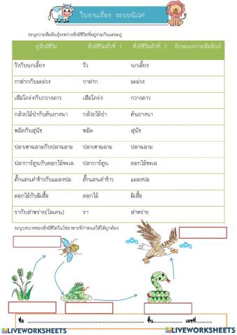 ความสัมพันธ์ของสิ่งมีชีวิตในระบบนิเวศ