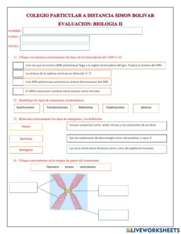 Evaluacion de biologia 2do bgu