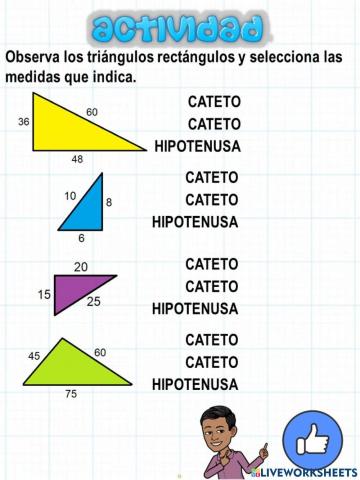 Triangulo rectángulo