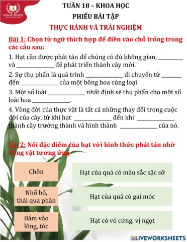 Tuần 18-Khoa học-Thực hành và trải nghiệm-PBT chung