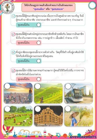 ชุมชนเมือง กับ ชุมชนชนบท