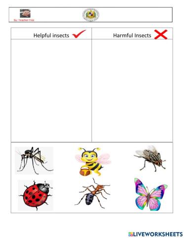 Helpful Insects