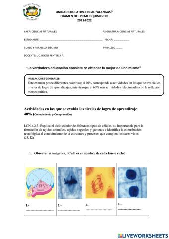 Evaluacion ccnn 10mo